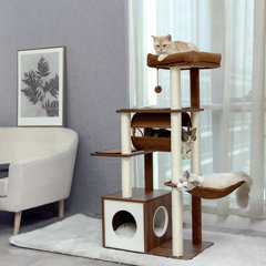 Kitten shop tree house